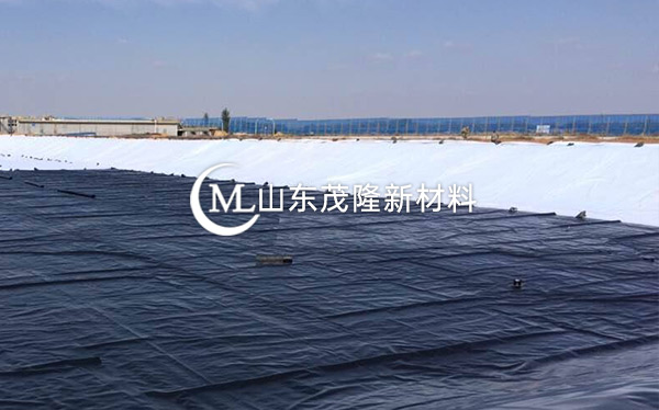 《衡水主城区生态修复工程》土工布、复合土工布施工