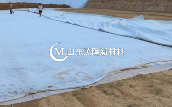 《现西咸新区高尔夫》土工布、复合土工布施工