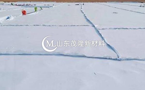 《台辉高速》土工布、土工格栅施工