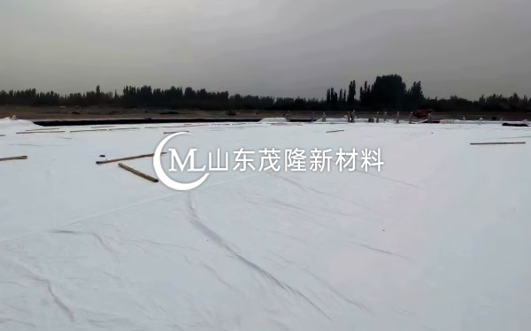 《中国石化库车商储库工程》土工膜、土工布施工  第5张