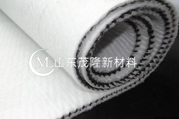 复合排水网厂家/三维复合排水网厂家  第3张