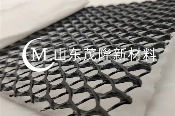 复合土工排水网/复合三维排水网  第2张