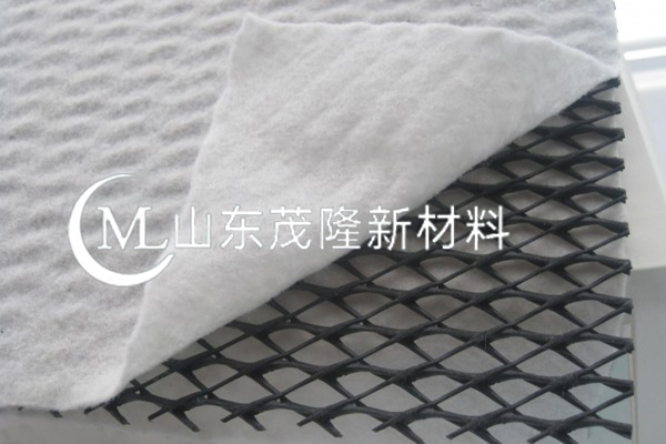 三维土工网/三维排水网  第1张