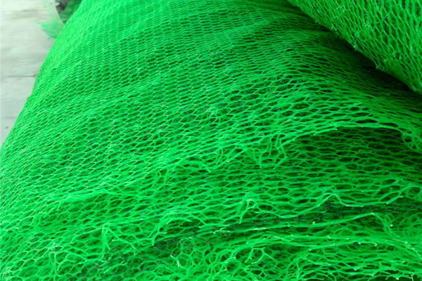 加筋土工网垫的作用及原理详解  第2张